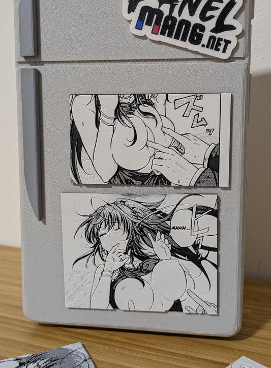 Rias Gremory Magnet Set 9 x 12 cm / Pannello High School DxD in 3D / Decorazione per frigorifero anime Ecchi